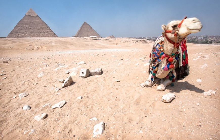Tour By Horse or Camel Ride at Sunset Safari
