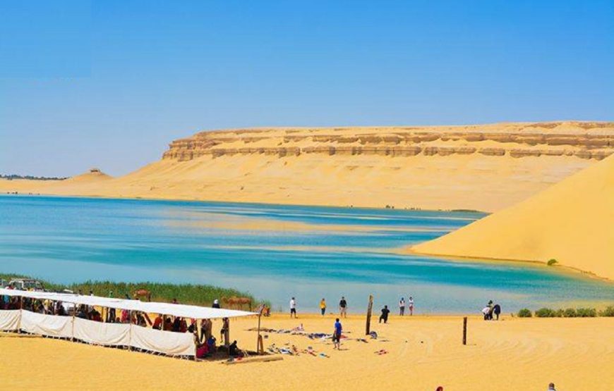 Safari Morning or Afternoon 3 Hours tour By ATV Quad and Camel Ride – Marsa Alam