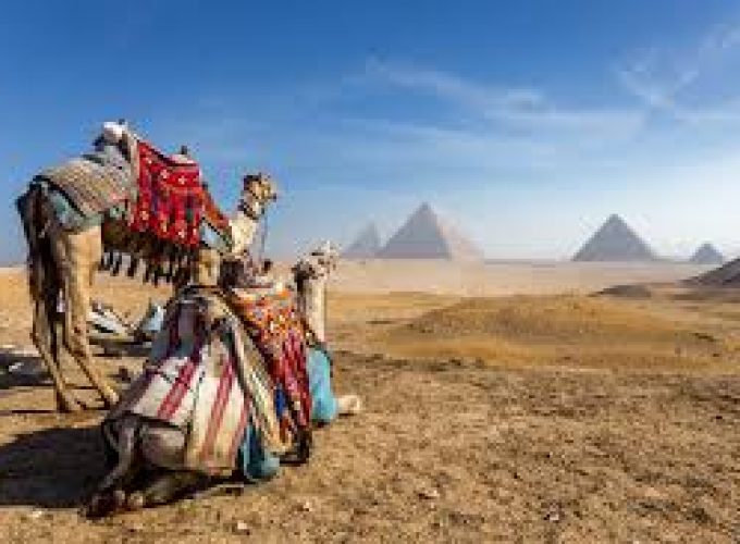 Day-Tour to Giza pyramids & Egyptian Museum & Camel Ride