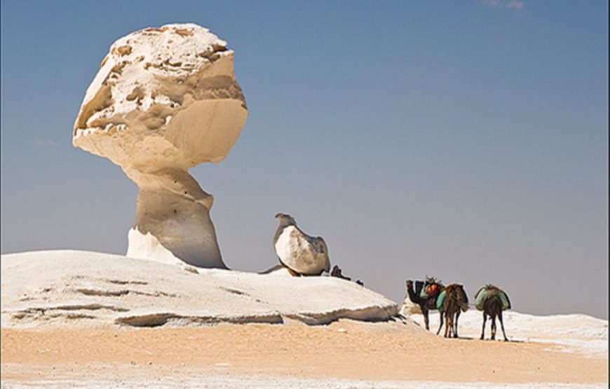 Trip to Bahariya Oasis with White Desert