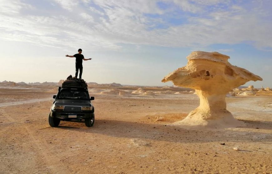 Desert Camping at Bahariya Oasis