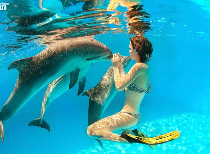 Trip To Dolphin House From Hurghada