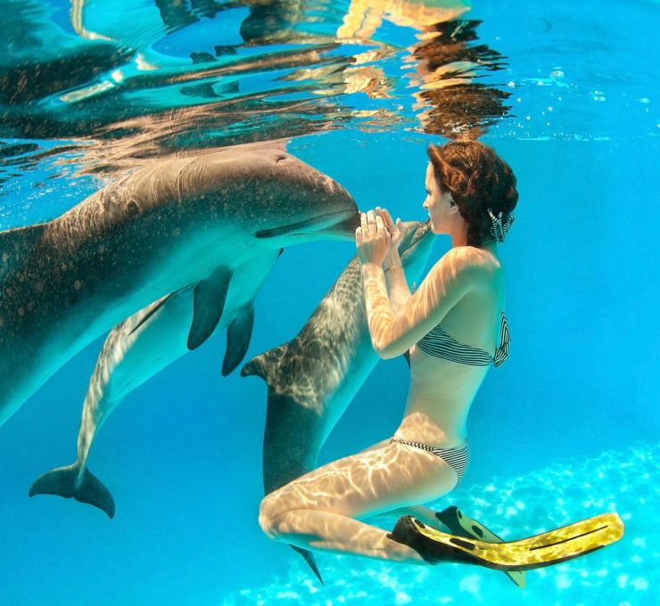 Trip To Dolphin House From Hurghada