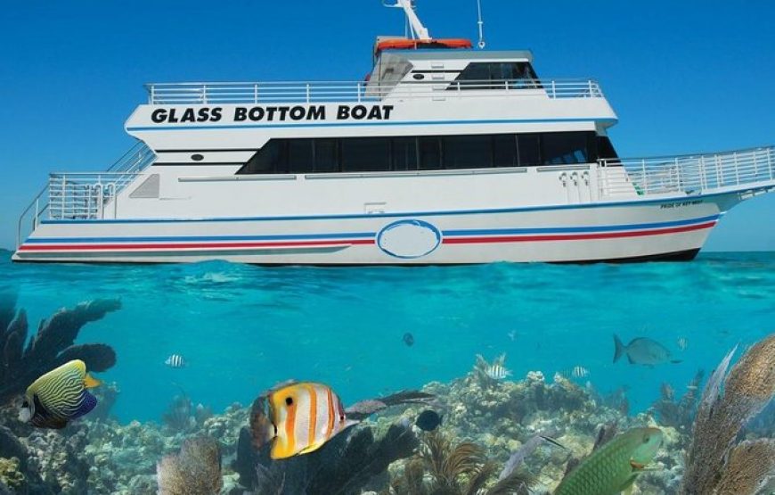 Trip by Glass Boat From Hurghada