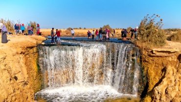 Fayoum-Oasis