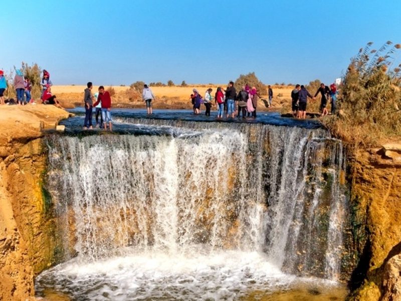 Fayoum-Oasis