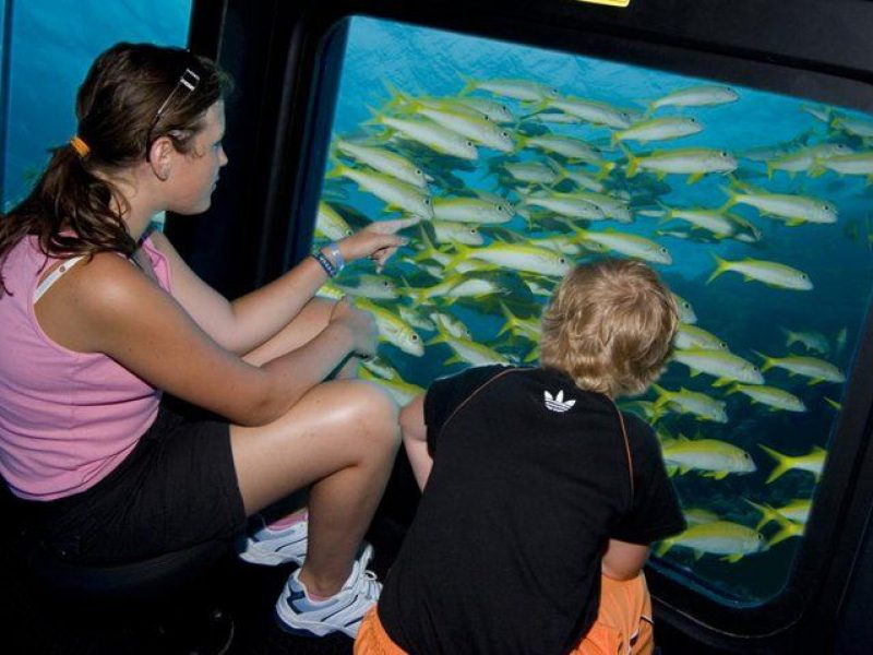 Trip by Glass Boat From Hurghada