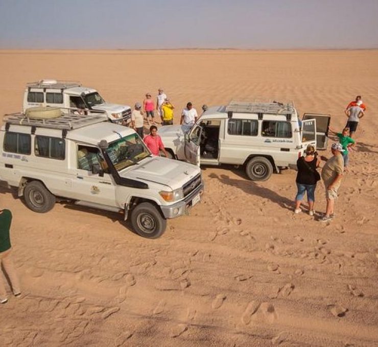 Safari Tour To Sahara Park by Jeep