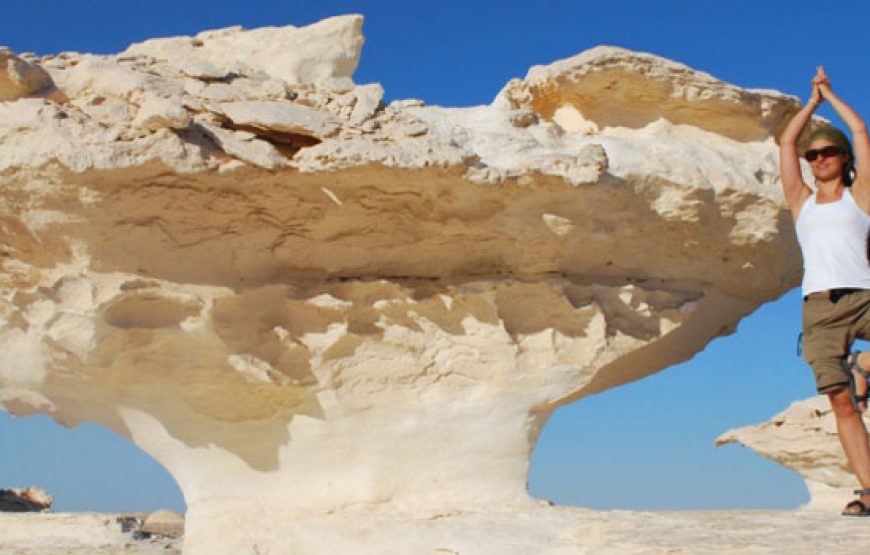 Trip to Bahariya Oasis with White Desert