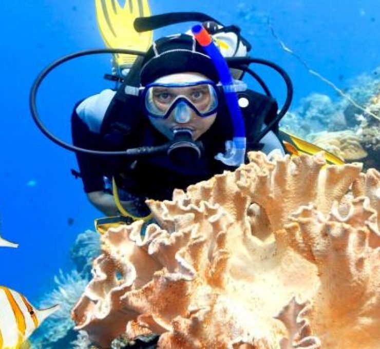 Snorkelling Adventure at Giftun Island from Hurghada