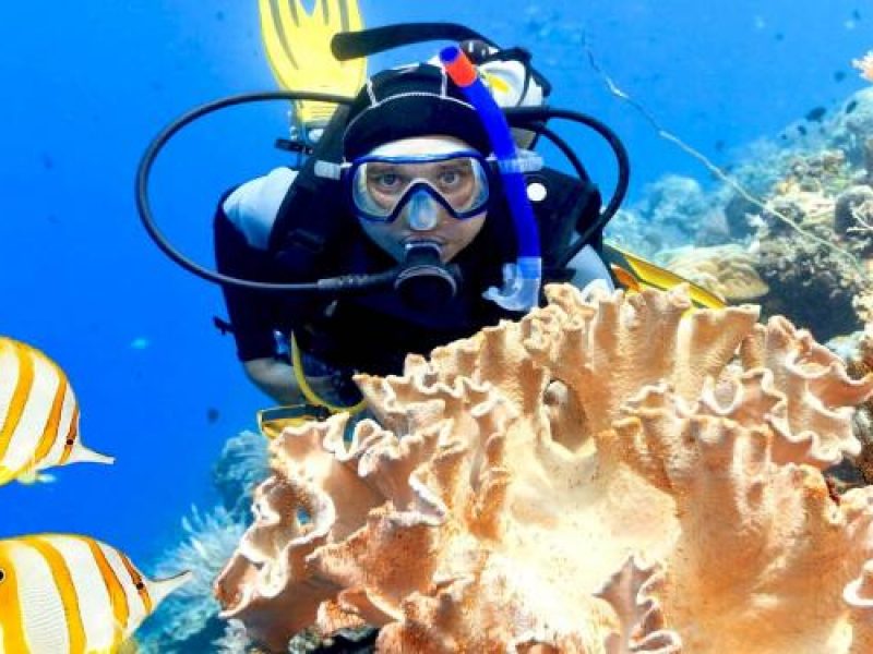 Snorkelling Adventure at Giftun Island from Hurghada