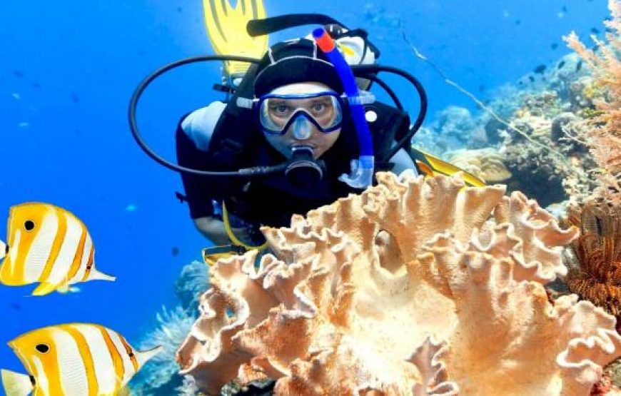 Snorkeling Adventure at Giftun Island from Hurghada