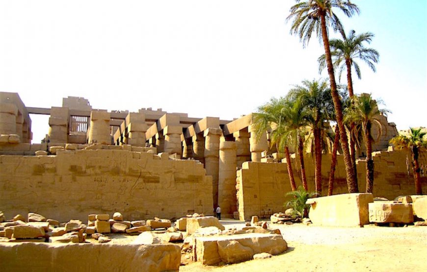 Luxor day tour to East and West Banks