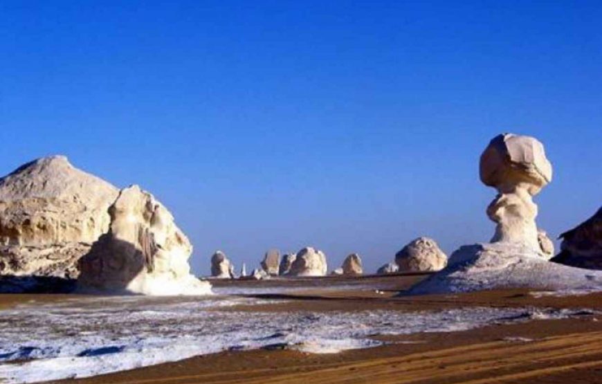 Trip to Bahariya Oasis with White Desert