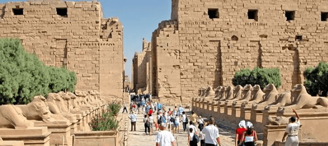 Day 06 : Luxor to Cairo/ Final Departure