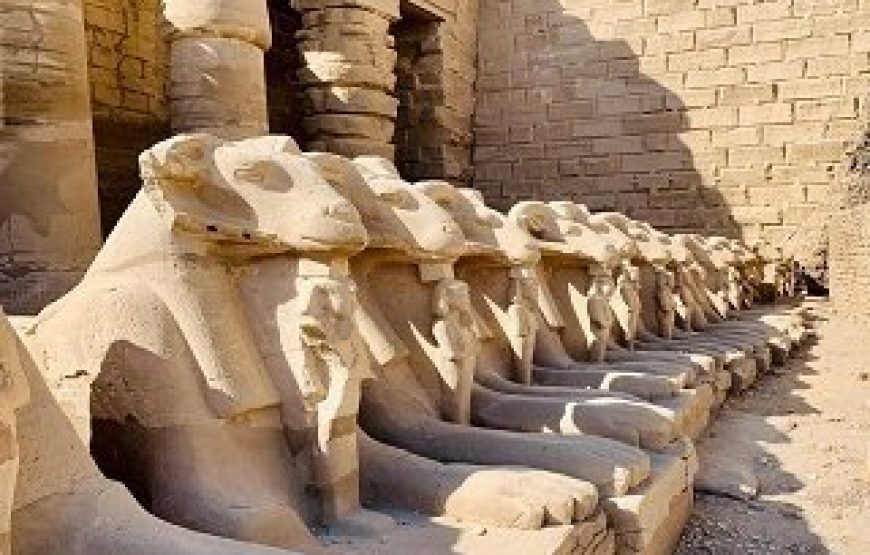 Day Trip to Luxor from Hurghada