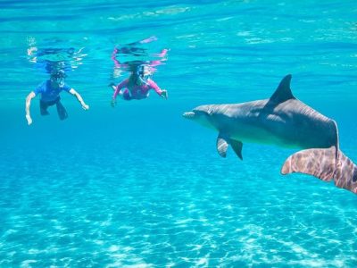 Trip To Dolphin House From Hurghada