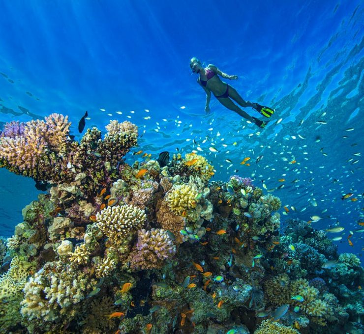 Hurghada Scuba Diving