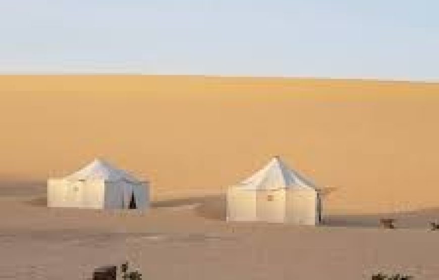 Desert Camping at Bahariya Oasis