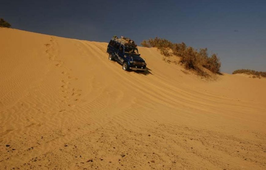 Desert Camping at Bahariya Oasis