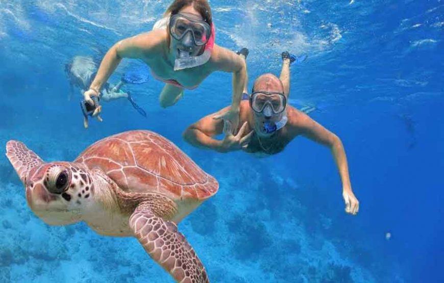 Snorkeling Adventure at Giftun Island from Hurghada