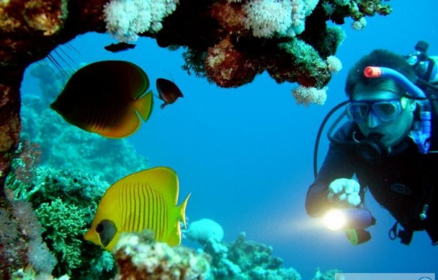 Snorkeling Adventure at Giftun Island from Hurghada