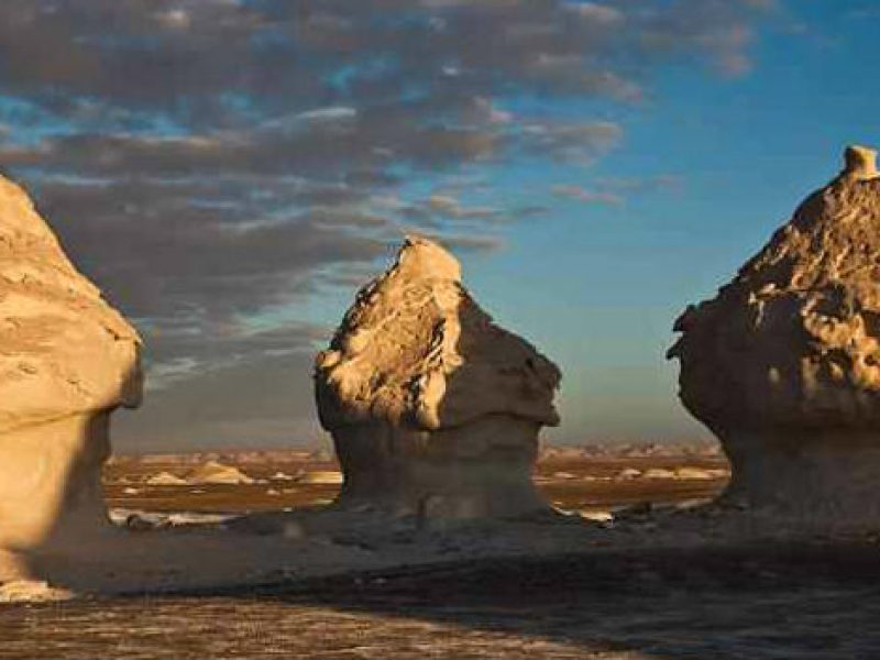 Trip To Bahariya Oasis with Black Sahara from Cairo