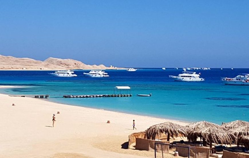 Marsa Alam: Snorkeling at Abu Dabab Beach