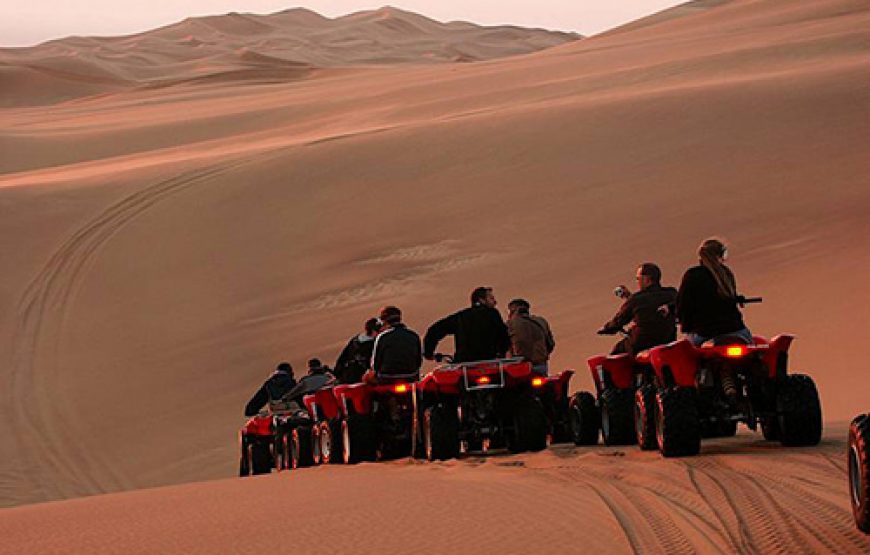 Safari Morning or Afternoon 3 Hours tour By ATV Quad and Camel Ride – Marsa Alam